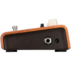LR Baggs Align Equaliser Guitar Pedal-LR Baggs-Infinite Music