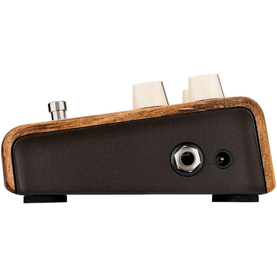 LR Baggs Align Session Guitar Pedal-LR Baggs-Infinite Music