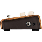LR Baggs Align Session Guitar Pedal-LR Baggs-Infinite Music