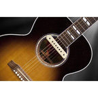 LR Baggs M1 Soundhole Body Sensitive Magnetic Guitar Pickup-LR Baggs-Infinite Music