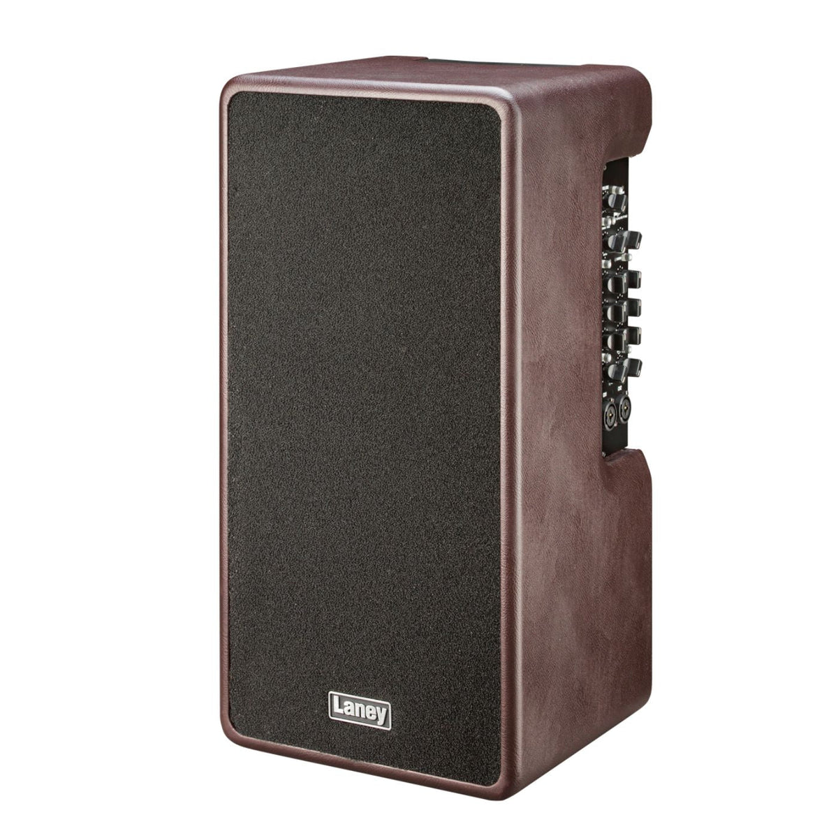 Laney A-DUO 2 x 30 Watt Acoustic Guitar Amplifier-Laney-Infinite Music