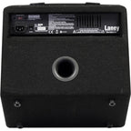 Laney AH40 AudioHub Instrument Amplifier-Laney-Infinite Music