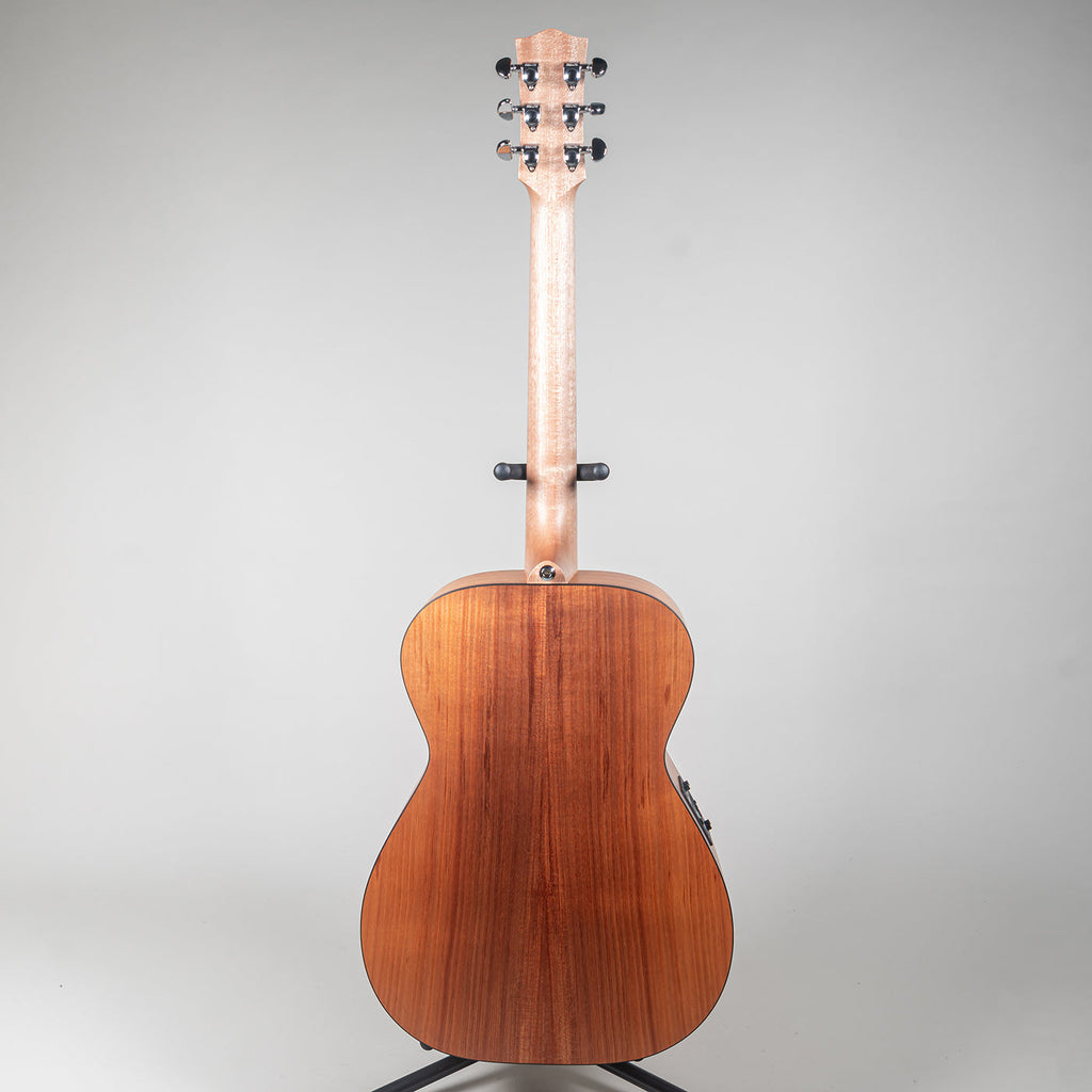 Maton EBW808 Blackwood Acoustic Electric Guitar-Maton-Infinite Music