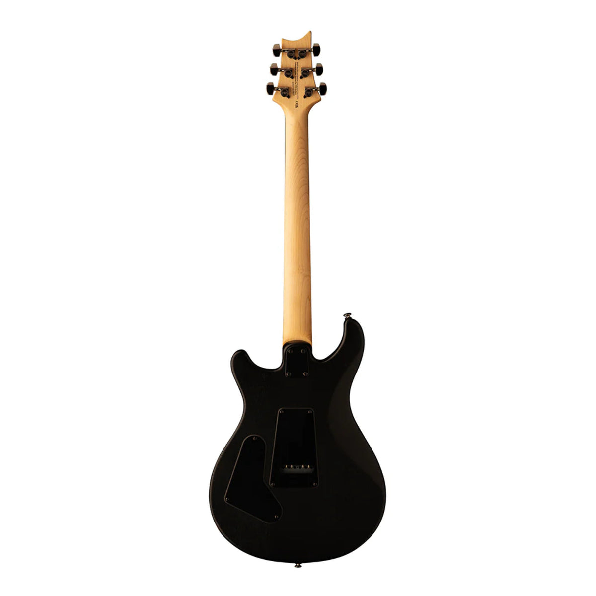 PRS SE Swamp Ash CE 24 "Sandblasted" Limited Edition - Green- W Gig Bag-Paul Reed Smith (PRS)-Infinite Music