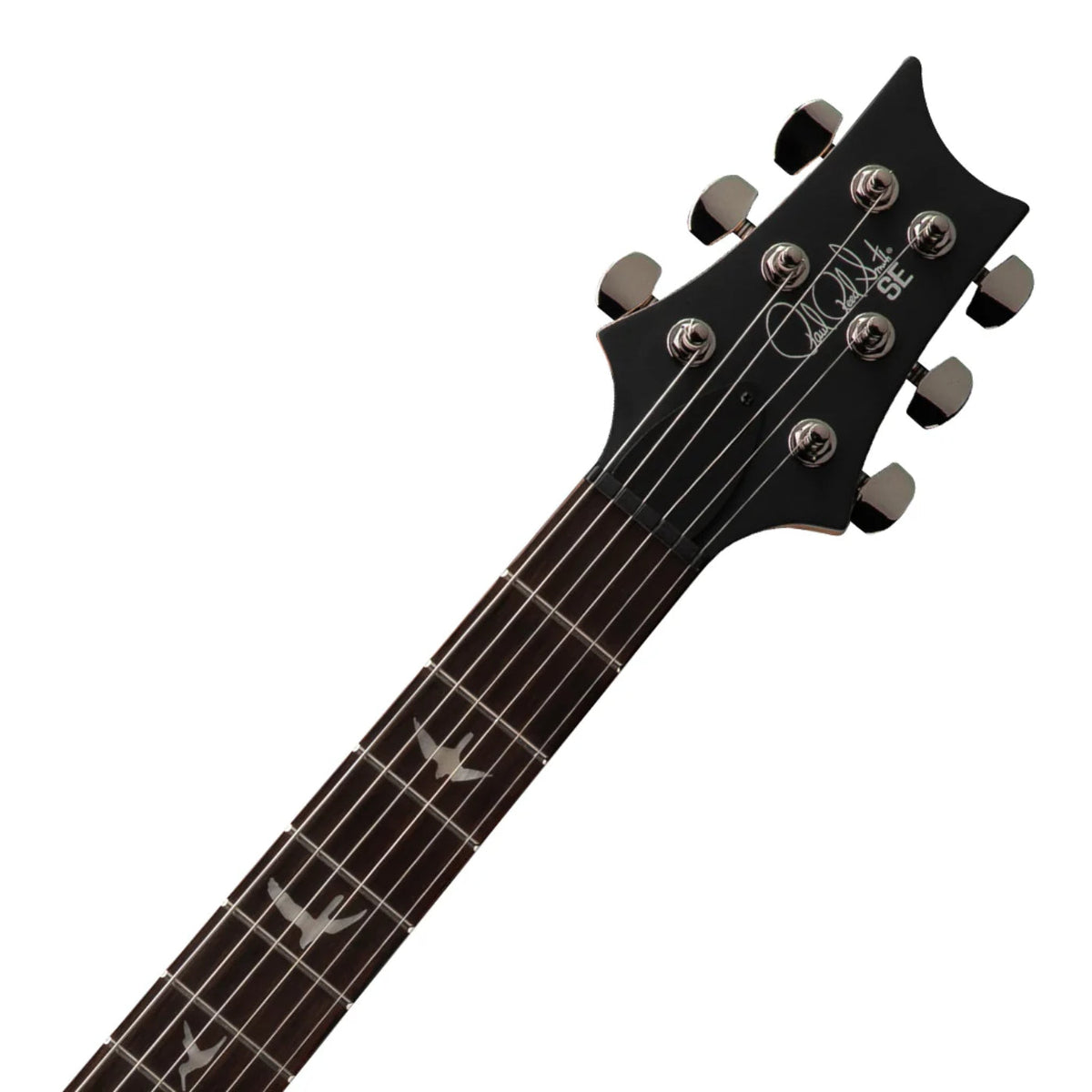 PRS SE Swamp Ash CE 24 "Sandblasted" Limited Edition - Green- W Gig Bag-Paul Reed Smith (PRS)-Infinite Music