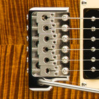 Paul Reed Smith PRS SE Custom 24 (Black Gold Burst) W/ Gig bag-Paul Reed Smith (PRS)-Infinite Music