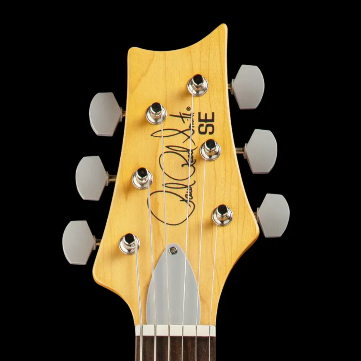 Paul Reed Smith PRS SE Silver Sky (Stone Blue) W/ Gig bag-Paul Reed Smith (PRS)-Infinite Music