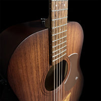 Pratley SL Dreadnought Layered Araucaria Back & Sides, Solid Blackwood Top w/pickup W/ Gig Bag-Pratley Guitars-Infinite Music