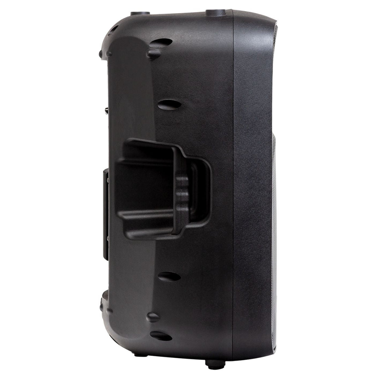 Proel Italian Stage SPX12AUB 12" Bi-Active Two Way Speaker with Media Player-Proel-Infinite Music