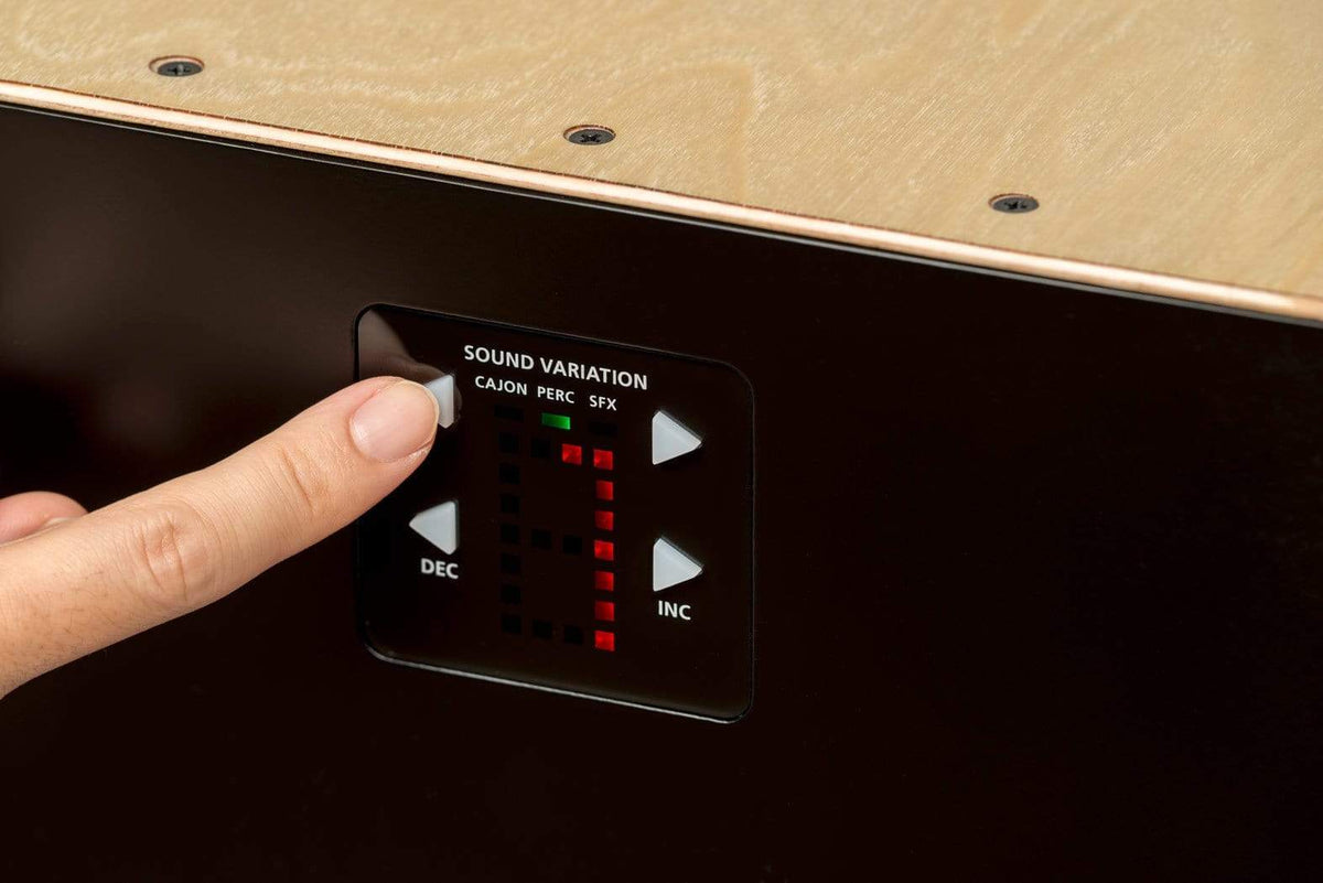 Roland ELcajon EC-10-Roland-Infinite Music