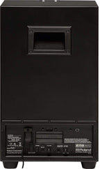 Roland ELcajon EC-10-Roland-Infinite Music