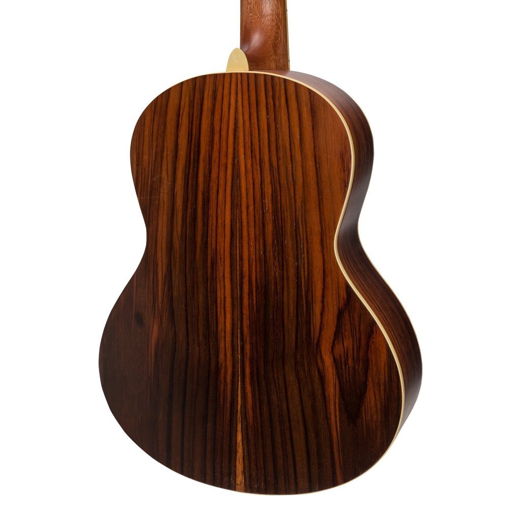 Sanchez Classical Guitar - Rosewood-Sanchez-Infinite Music