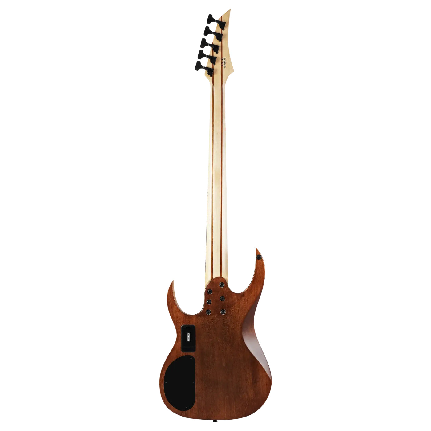 Solar AB2.5AN 5-String Electric Bass - Aged Natural Matte- 5 STRING-Solar-Infinite Music