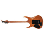 Solar S1.6APB Electric Guitar - Poplar Burst Matte -SIGNED By OLA-Solar-Infinite Music