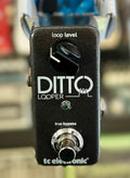 TC Electronic Ditto Looper W/- box (Pre Owned)-TC Electronic-Infinite Music