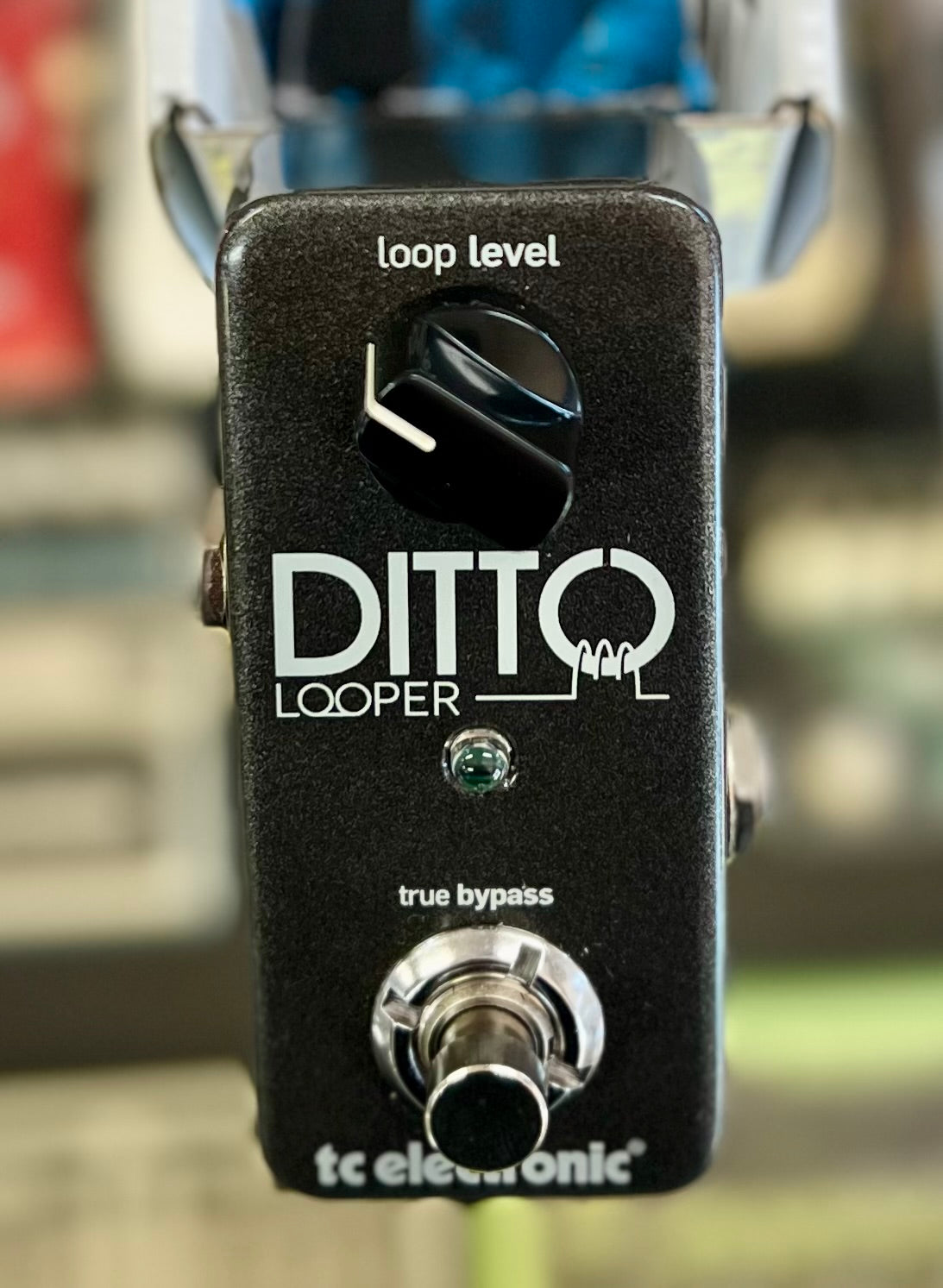 TC Electronic Ditto Looper W/- box (Pre Owned)-TC Electronic-Infinite Music