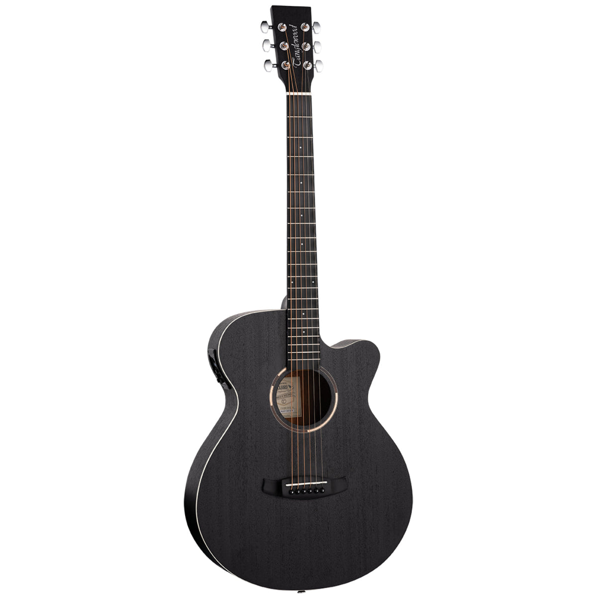 Tanglewood Blackbird Super Folk C/E Guitar Pack with DCM Premium Case (TWBBSFCE-P)-Tanglewood-Infinite Music