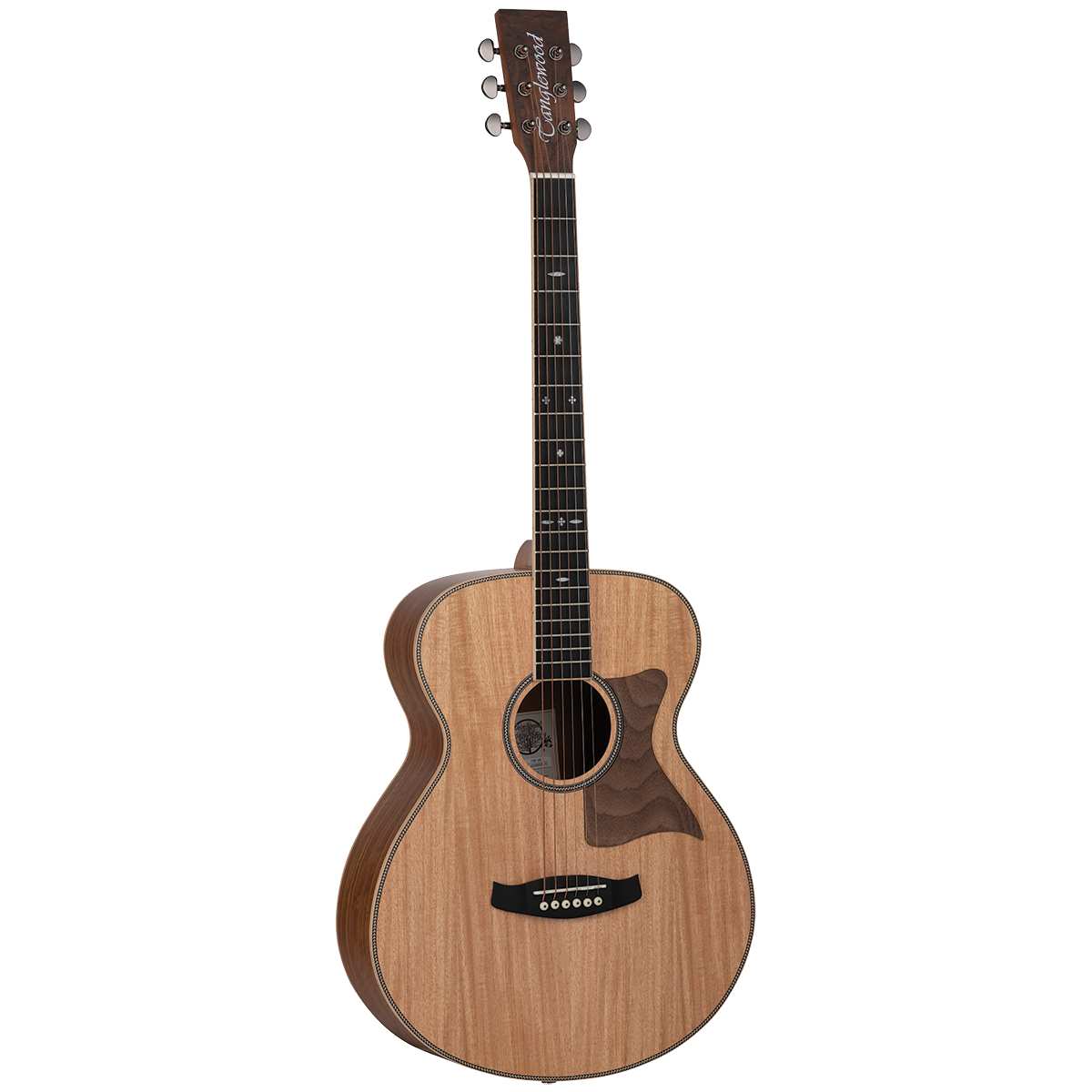 Tanglewood TRU3-HR Reunion Pro Solid Australian Red Cedar Top Folk with Hawaiian Rain Wood B/S-Tanglewood-Infinite Music