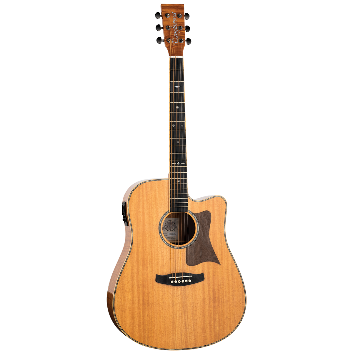 Tanglewood TRU5-CE-FMH Reunion Pro Solid Australian Red Cedar Top Dreadnought C/E with Flame Okoume B/S-Tanglewood-Infinite Music