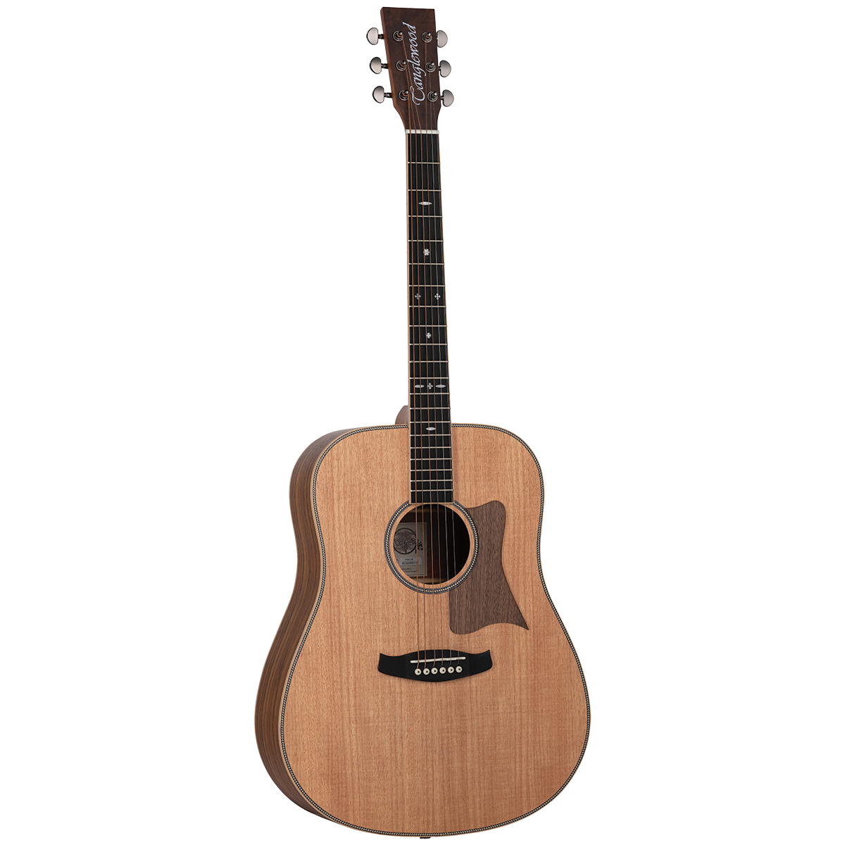 Tanglewood TRU5-HR / TRPRO-D-HR Reunion Pro Solid Australian Red Cedar Top Dreadnought with Hawaiian Rain Wood B/S-Tanglewood-Infinite Music
