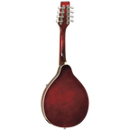 Tanglewood TWMTWRP Union Mandolin Wine Red-Tanglewood-Infinite Music