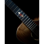 Tanglewood Winterleaf Exotic Superfolk Solid Top Venetian C/E Guitar all Black Walnut [TWX6-CE-BW]-Tanglewood-Infinite Music