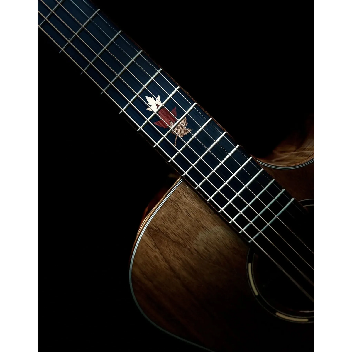 Tanglewood Winterleaf Exotic Superfolk Solid Top Venetian C/E Guitar all Black Walnut [TWX6-CE-BW]-Tanglewood-Infinite Music