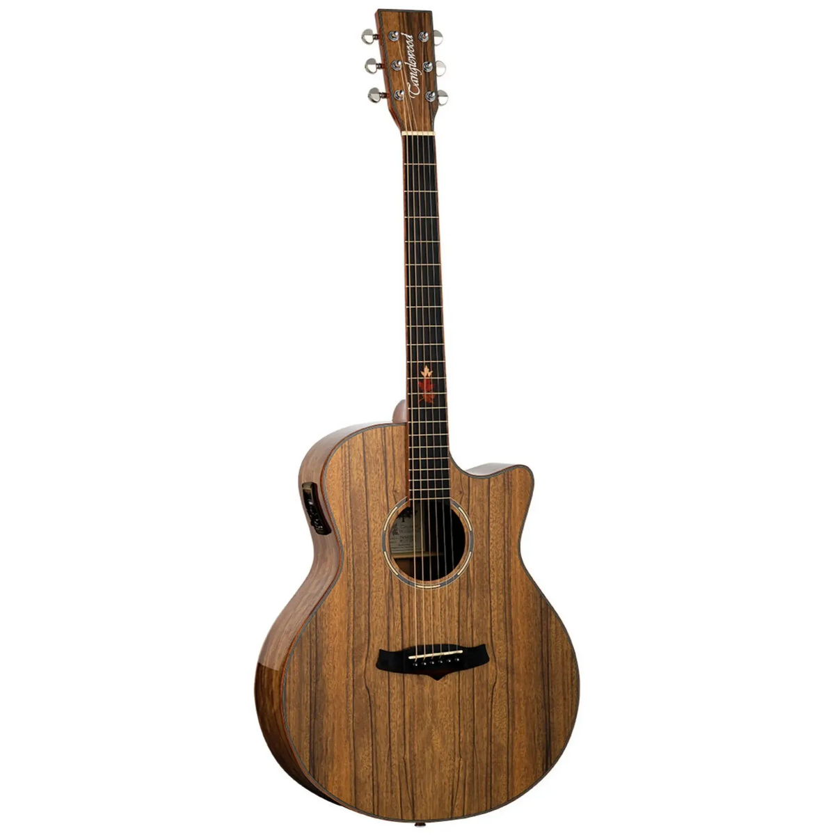 Tanglewood Winterleaf Exotic Superfolk Solid Top Venetian C/E Guitar all Black Walnut [TWX6-CE-BW]-Tanglewood-Infinite Music