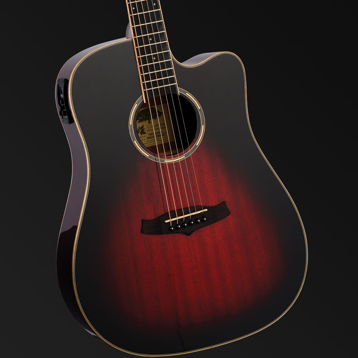 Tanglewood Winterleaf Pro Dreadnought C/E Antique Vintage Burst Gloss [TWPRO5-CE-AVB]-Tanglewood-Infinite Music
