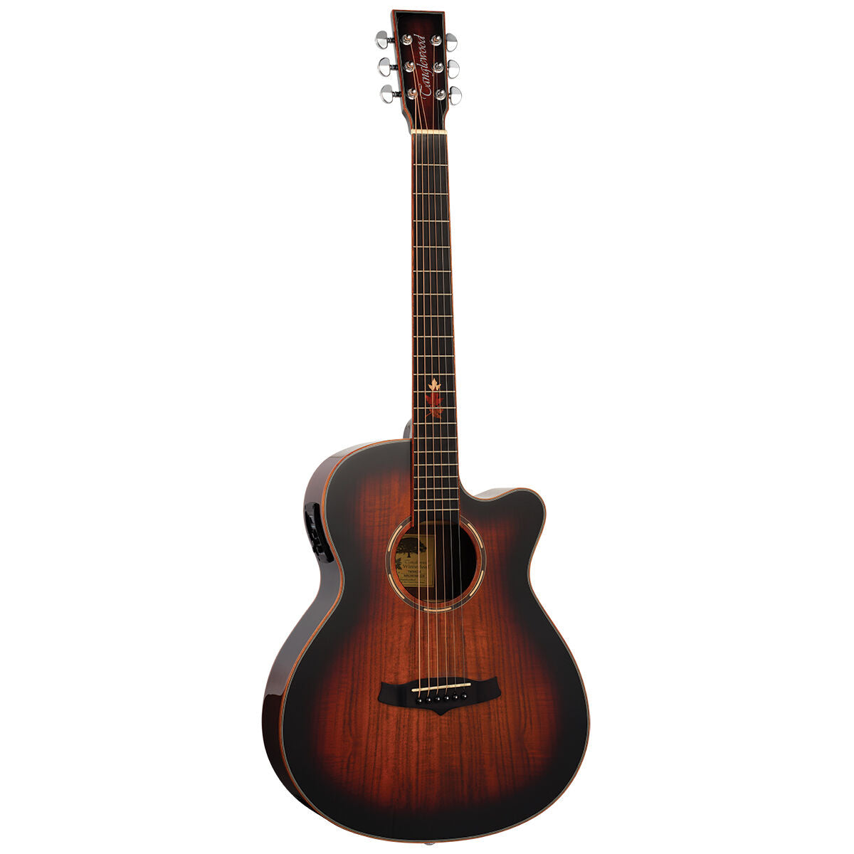Tanglewood Winterleaf Pro Exotic Super Folk C/E Koa W/- Premium Plus Pickup [TWX4-CE-K]-Tanglewood-Infinite Music