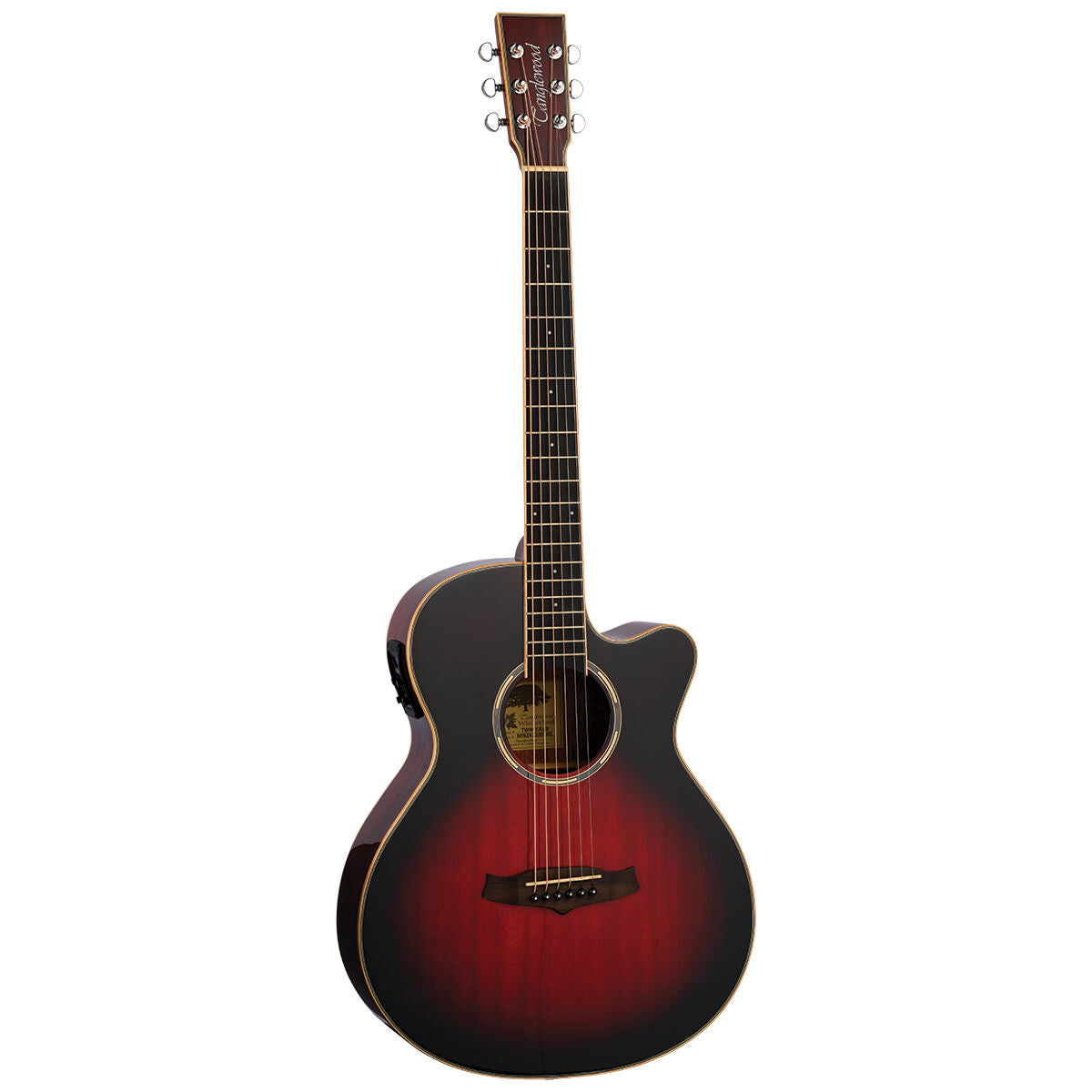 Tanglewood Winterleaf Pro Super Folk C/E Antique Vintage Burst [TWPRO4-CE-AVB]-Tanglewood-Infinite Music