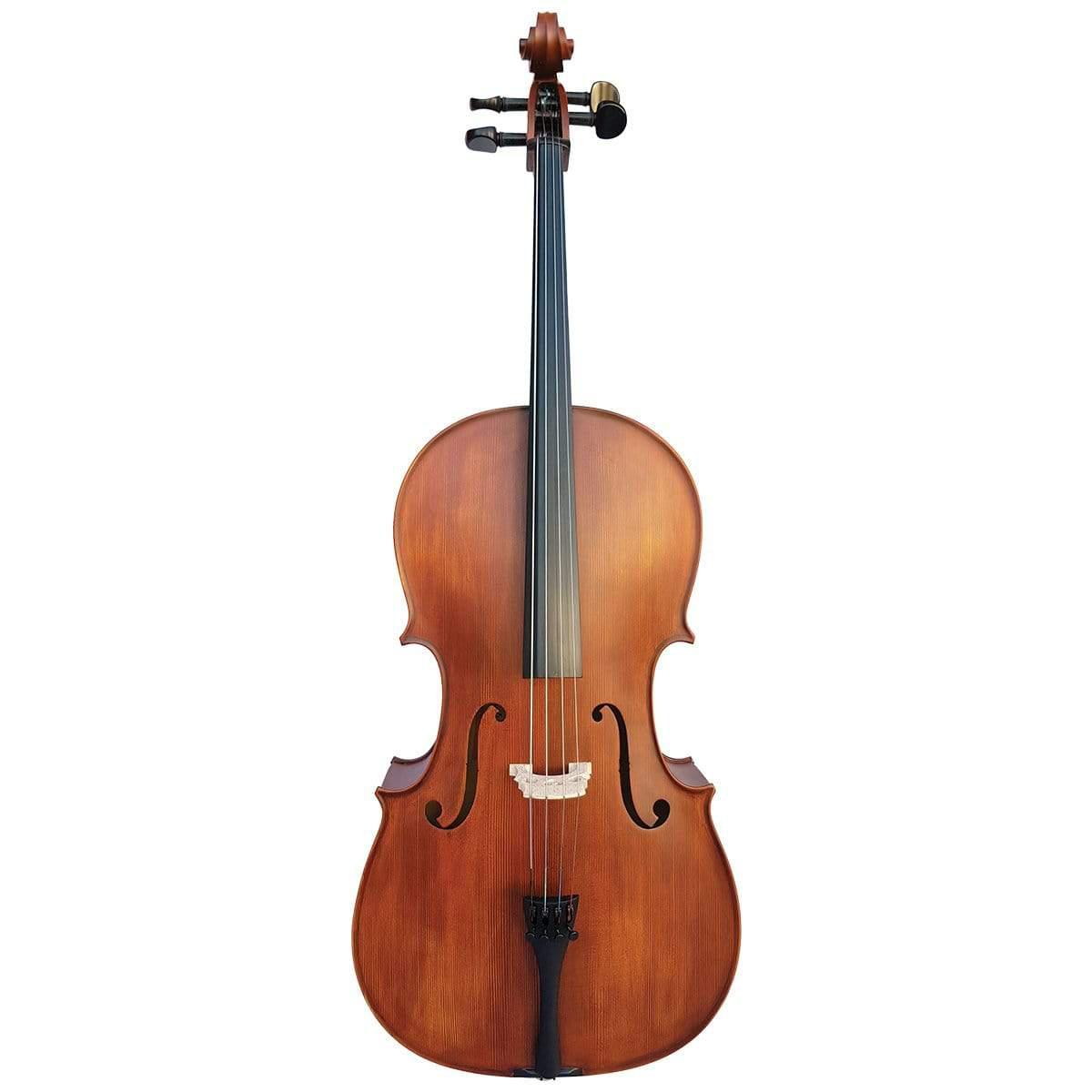 Vivo Montanari 3/4 Cello Outfit With Case-Vivo-Infinite Music