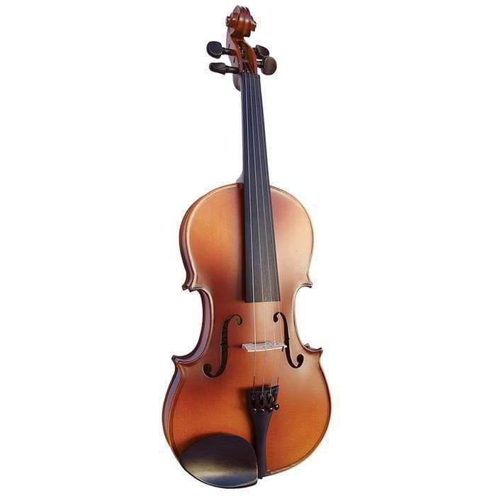 Vivo Neo 4/4 Student Violin Outfit - Includes Professional Setup-Vivo-Infinite Music
