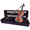 Vivo Neo Plus Student 1/2 Violin - Setup-Vivo-Infinite Music