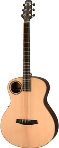 Walden B103E BARITONE Acoustic/Electric Guitar - Satin Natural W/ Hard Case-Walden-Infinite Music