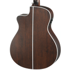 Walden G803CE All-Solid Acoustic Electric Guitar W/ Gig Bag-Walden-Infinite Music