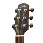 Walden G803CE All-Solid Acoustic Electric Guitar W/ Gig Bag-Walden-Infinite Music