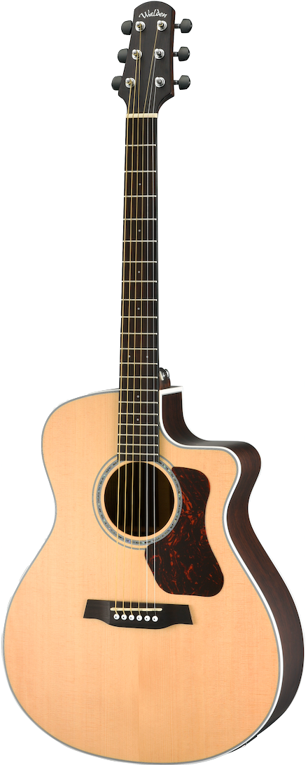 Walden G803CE All-Solid Acoustic Electric Guitar W/ Gig Bag-Walden-Infinite Music