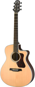 Walden G803CE All-Solid Acoustic Electric Guitar W/ Gig Bag-Walden-Infinite Music
