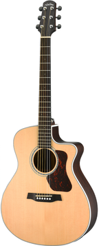 Walden G803CE All-Solid Acoustic Electric Guitar W/ Gig Bag-Walden-Infinite Music