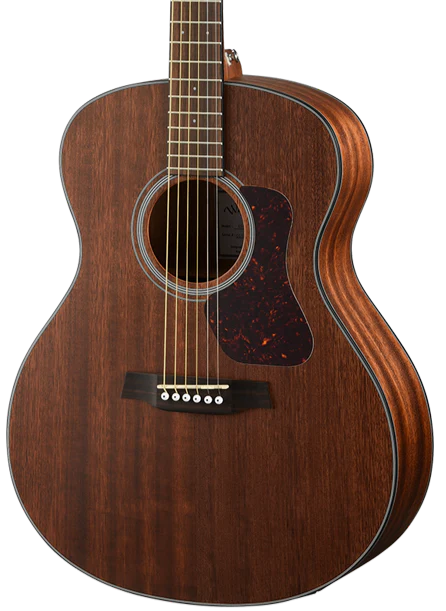 Walden Natura G551E Solid Mahogany Top Grand Auditorium-Walden-Infinite Music