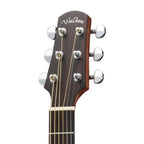 Walden Natura G551E Solid Mahogany Top Grand Auditorium-Walden-Infinite Music