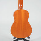 aNueNue PM1L Soprano Long Neck Ukulele-aNueNue-Infinite Music