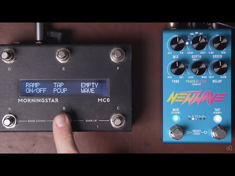Jackson Audio | NEW WAVE | All Analog Chorus & Vibrato | w/ MN3007 BBD Chips & MIDI