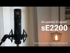 sE Electronics sE2200 Large Diaphragm Condenser Microphone (With Shockmount and Pop Filter)