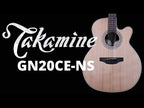 Takamine G20 Series NEX AC/EL Guitar with Cutaway in Natural Satin Finish