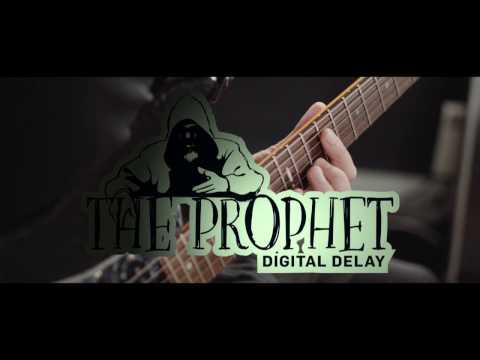 TC Electronic The Prophet Digital Delay Guitar Pedal  (Pre Owned)