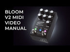 Jackson Audio | BLOOM V2 MIDI | BLACK | Compressor, EQ, Boost & Bloom w/ MIDI Switch