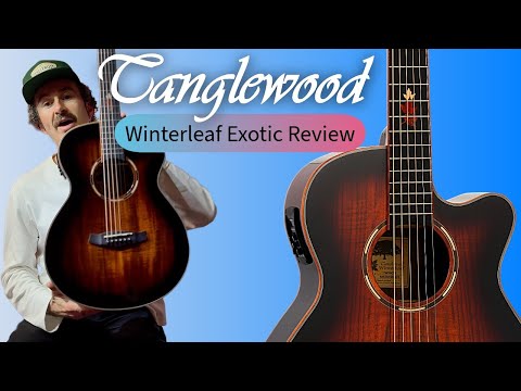 Tanglewood Winterleaf Pro Exotic Super Folk C/E Koa W/- Premium Plus Pickup [TWX4-CE-K]